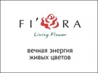 Fi’ora