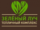 Зеленый луч