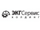 ЗАО "ЭКГСервисХолдинг