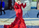 Фото франшизы Звездное шоу
