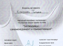 Фото франшизы Звездное шоу