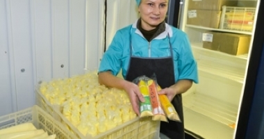 Франшиза омлета из пакета