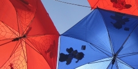 Продажа одноразовых зонтов