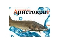 Торговый дом Аристократ