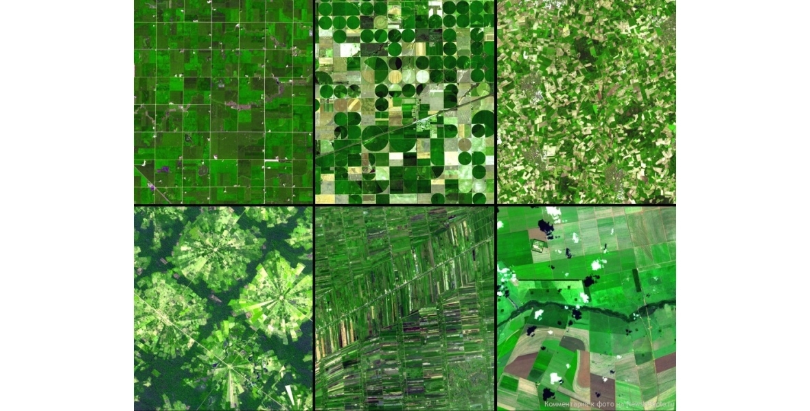 Спутниковые снимки полей по индексу биомассы  NDVI