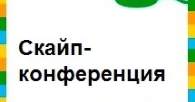 На портале БиБосс.ру запускается новый проект – скайп-кон...