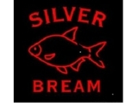 Silver Bream