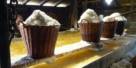 Добыча и производство морской соли