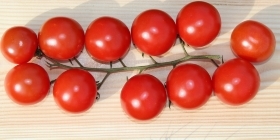 Выращивание помидоров «Черри»