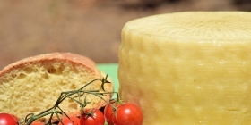 Производство плавленых сыров